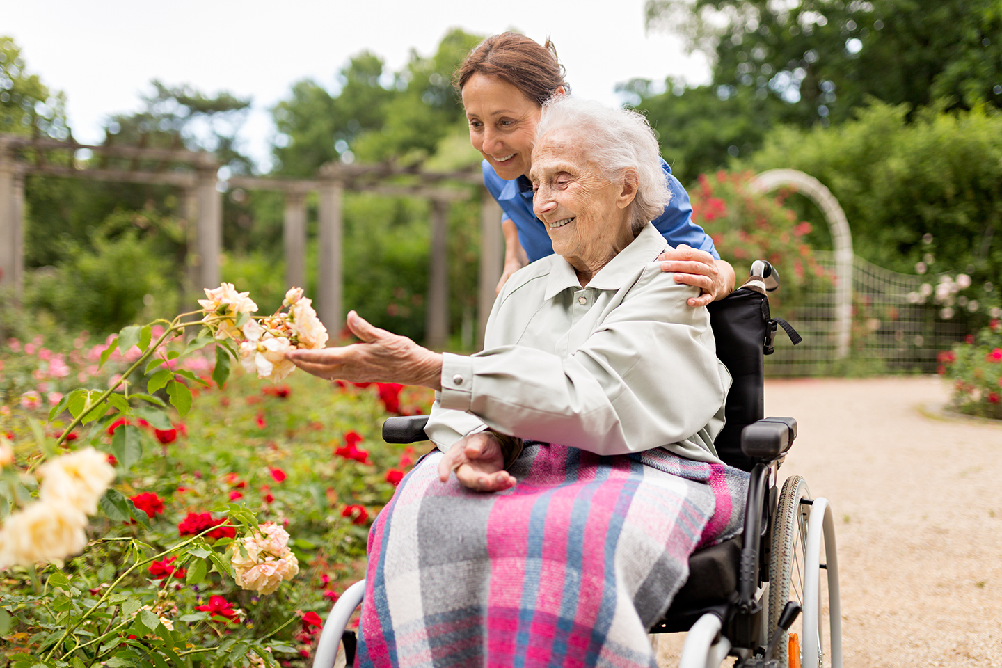 Wir von der AFQ Berlin wünschen uns für Ihre Zukunft, dass Sie den Pflegealltag so gestalten können, wie Sie ihn sich immer vorgestellt haben. Abbildung eines Fotos: Eine glückliche alte Dame im Rollstuhl, begleitet von ihrer Pflegekraft, besucht einen Park mit Rosen. 